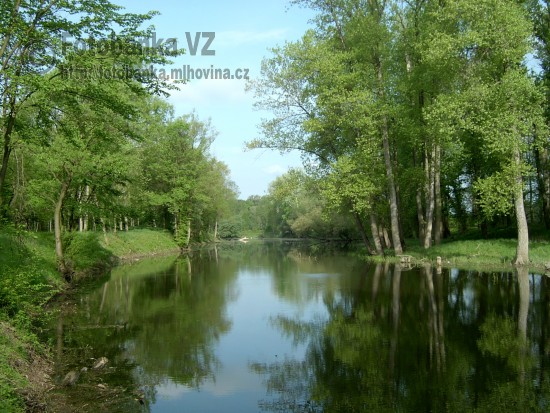 Zahradníčkovo rameno